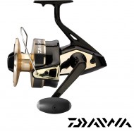Moulinet Daiwa GOLD SILVER B moulinet pêche mer bord et bateau 