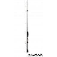 Canne à pêche Daiwa EXCELER Spinning Canne pêche leurre eau douce