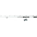 Set Lancer spinning DAIWA SET SPINNING 210 AF 